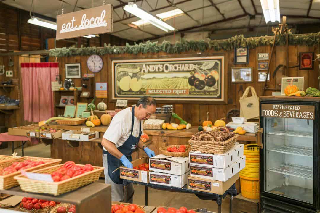 Andy’s Orchard: Farming for Flavor