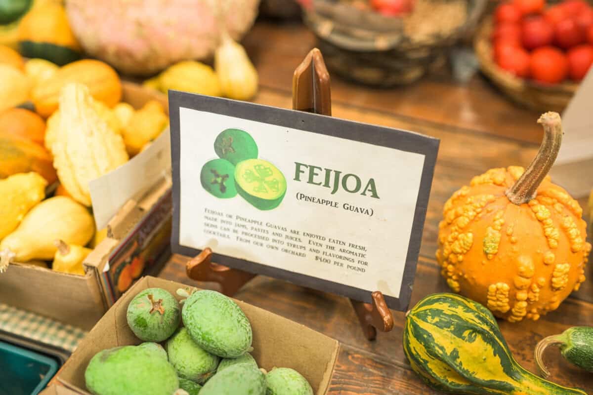 some of the unusual fruits grown at Andy's Orchard