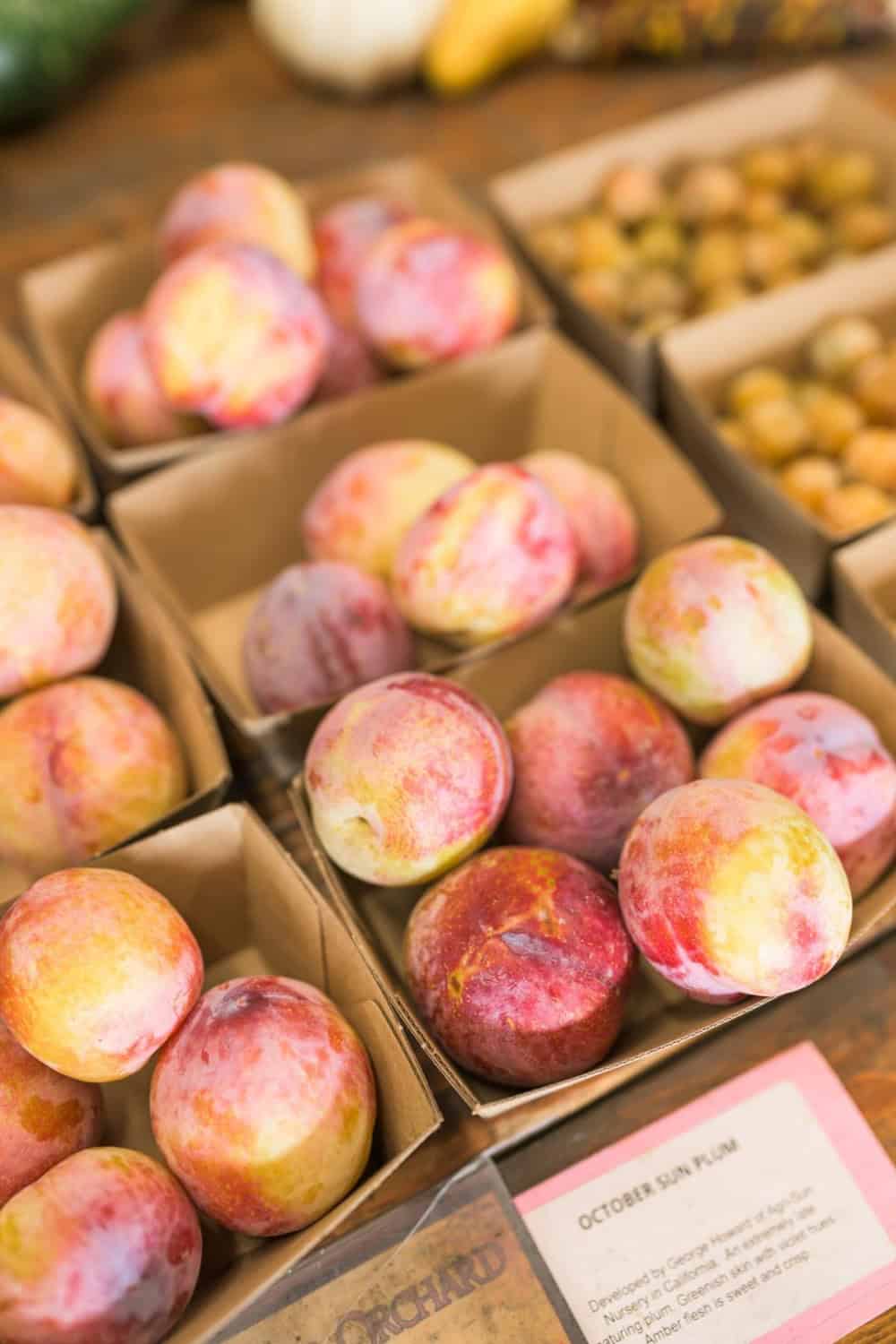 October plums at Andy's Orchard