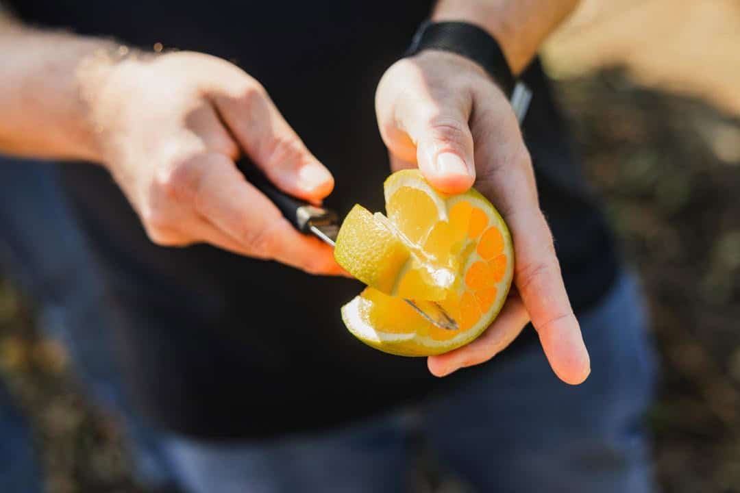 Kings River Packing: Eight Generations of California Citrus