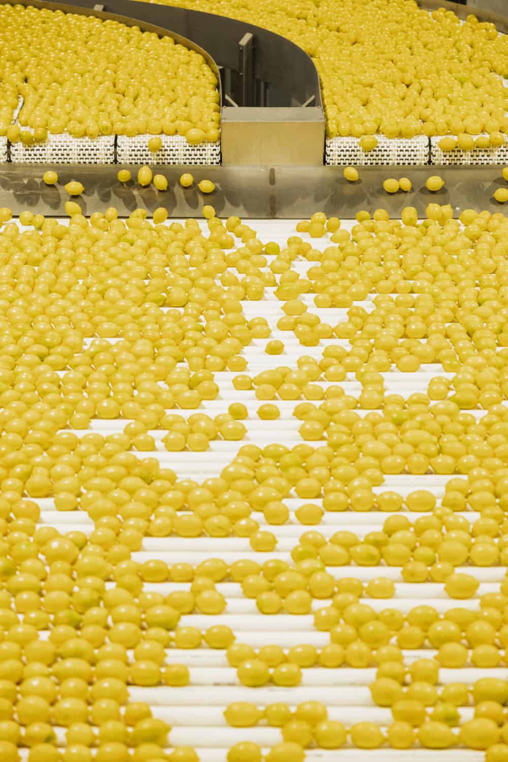 lemons at Cobblestone Packing