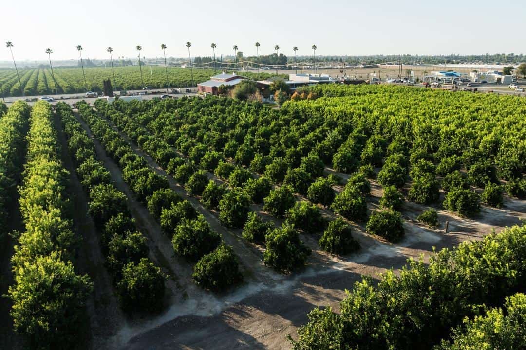 aerial view of Simonian Farms