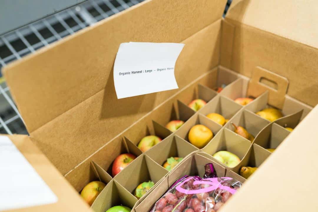 box of fruit from The FruitGuys
