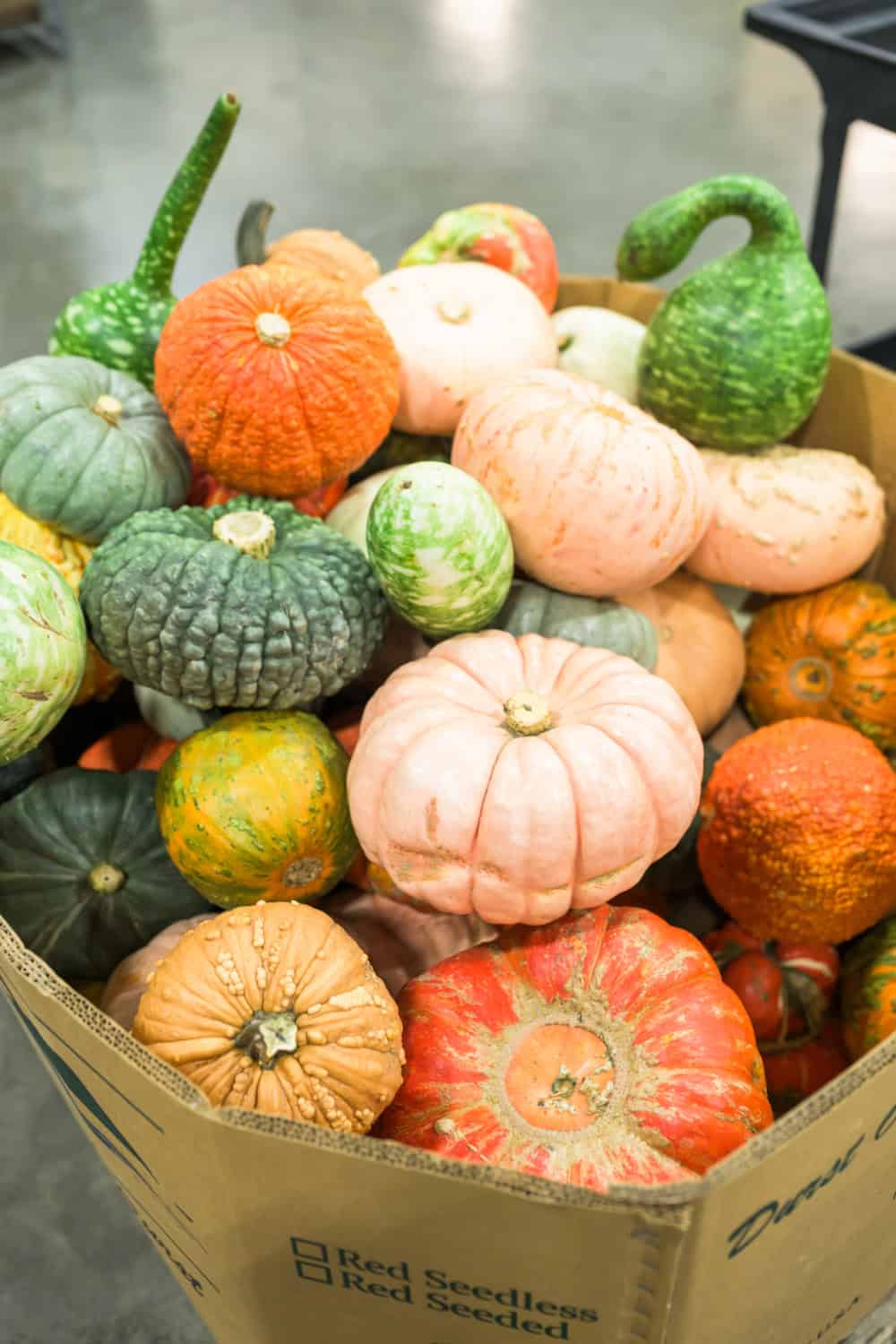 pumpkins and gourds in a box at The FruitGuys