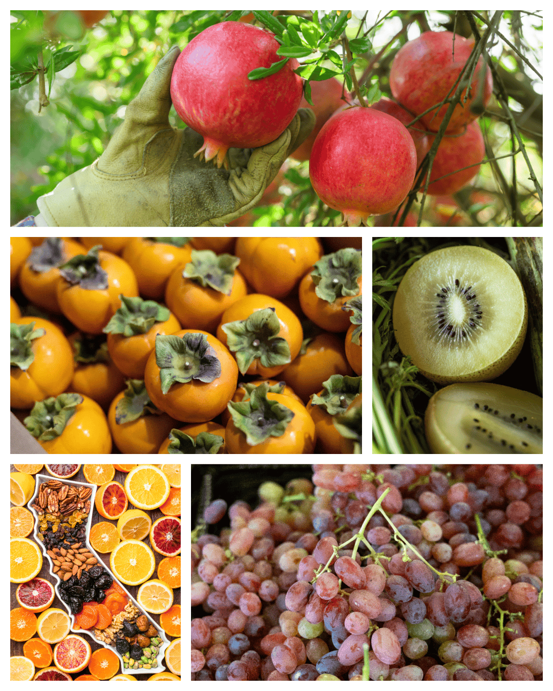 In Season Now: Winter Fruit