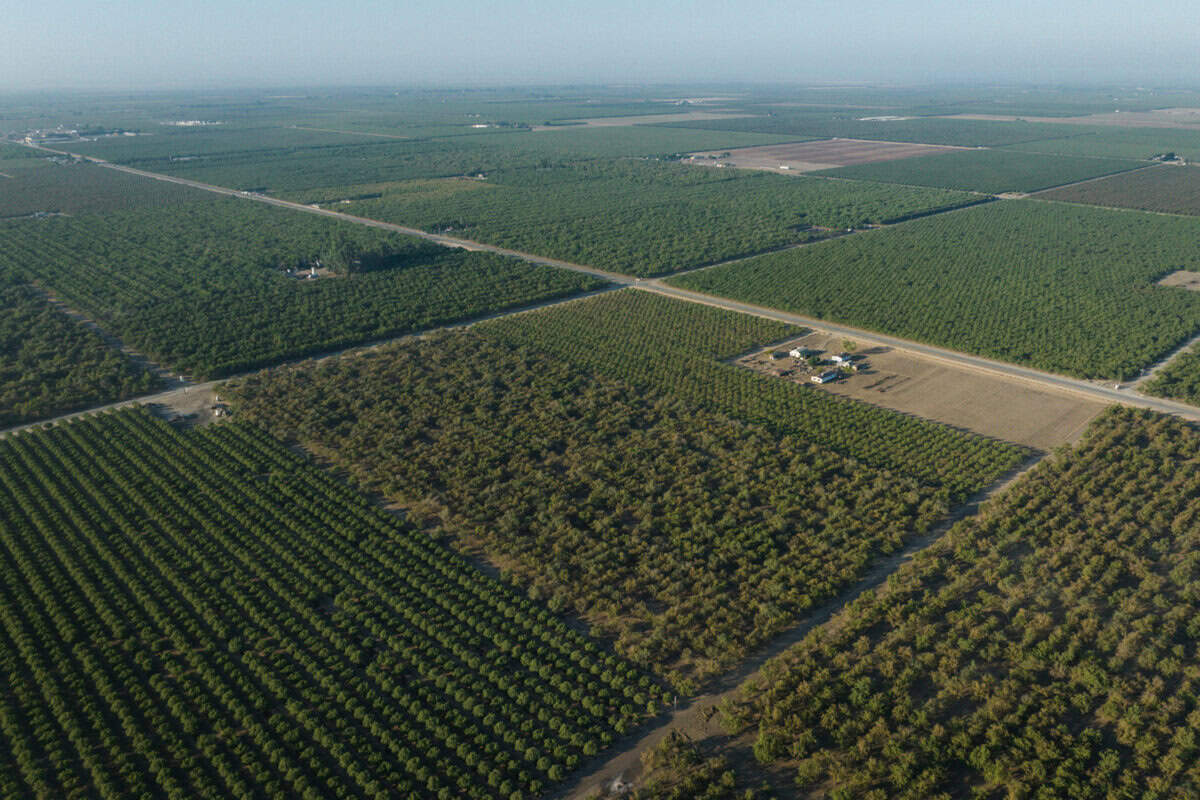 aerial view of the Central Valley, where the majority of the nation's pomegranates are grown
