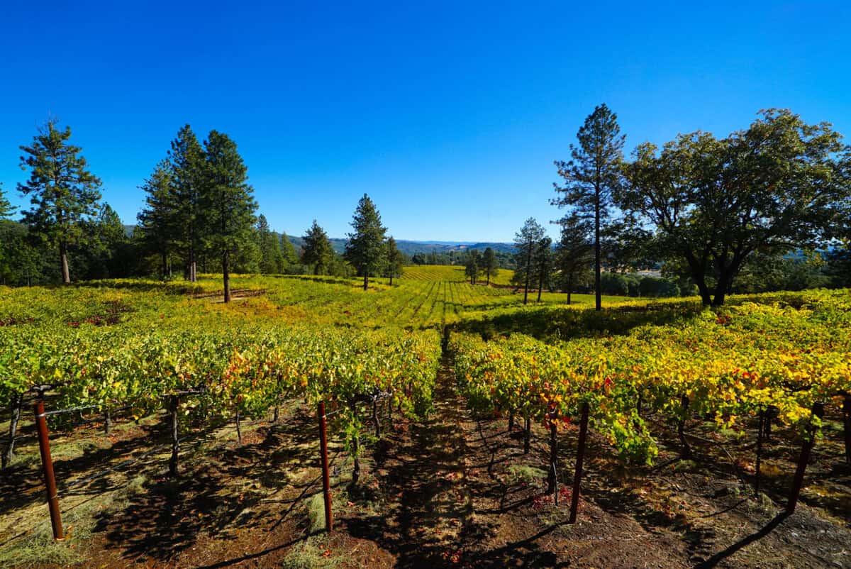 Ironstone Vineyards in Calaveras County