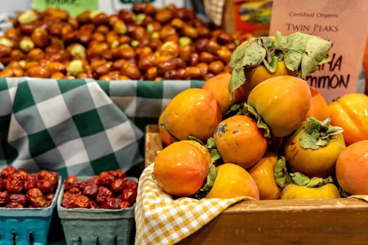 persimmons and jujubes at Twin Peaks Orchards