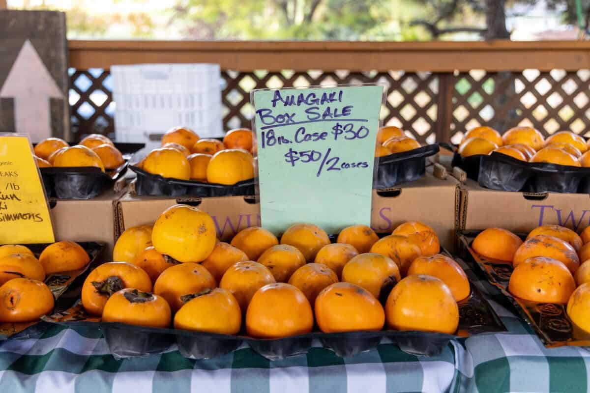 Persimmons sold at Twin Peaks Orchards