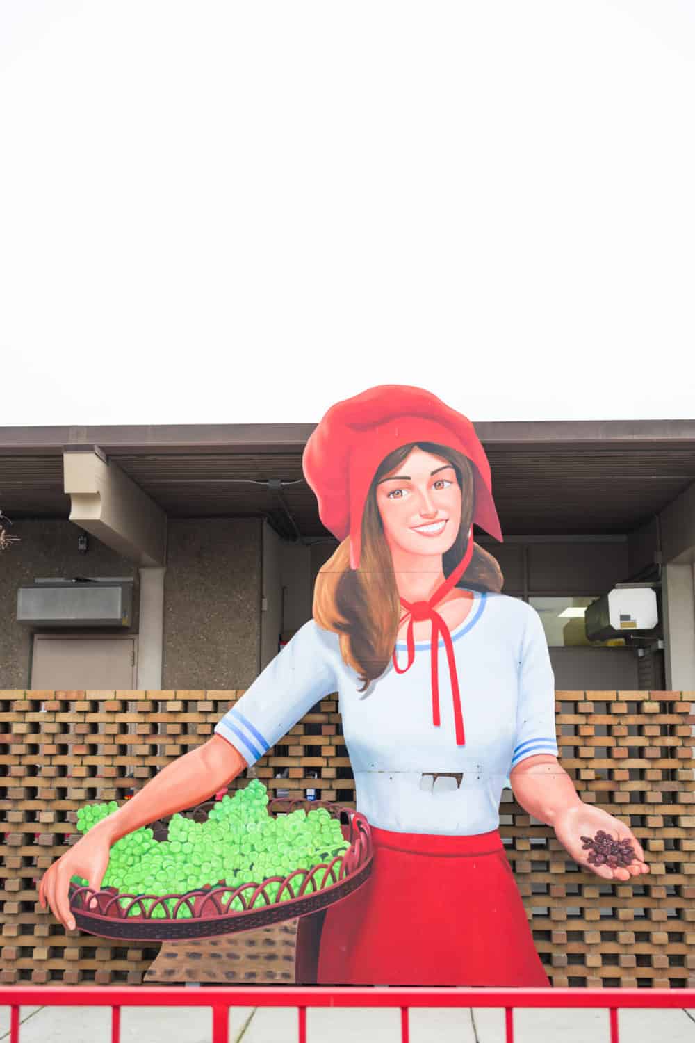 The iconic Sun-Maid logo, a girl in a red bonnet picking grapes