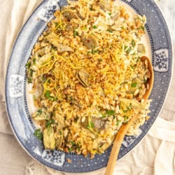 A Zesty Orzo Salad with Baby Artichokes and Lemon ready to serve.