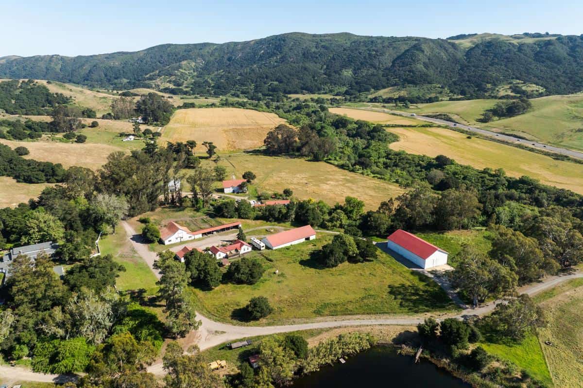 At Rancho San Julian, Elizabeth Poett’s Table Begins With the Land