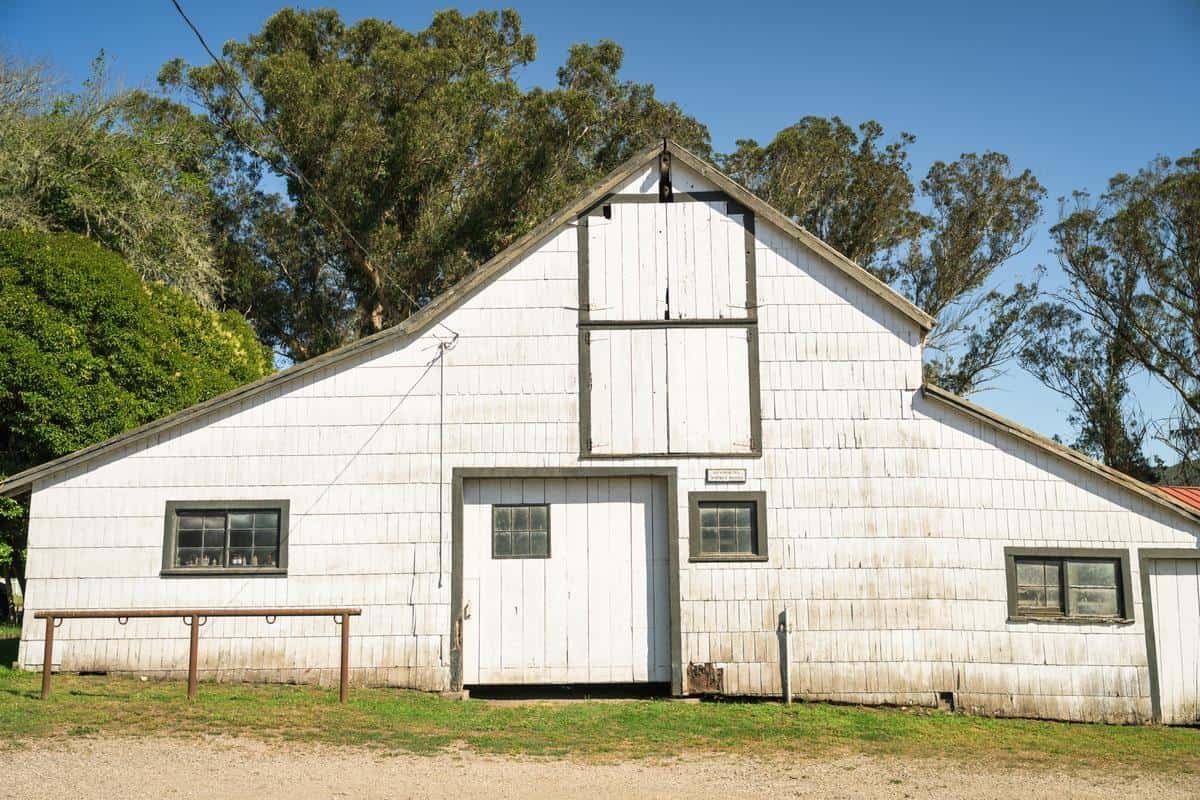 white barn