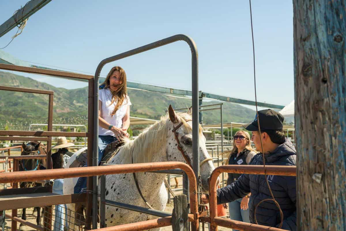 woman riding white horse in a pen