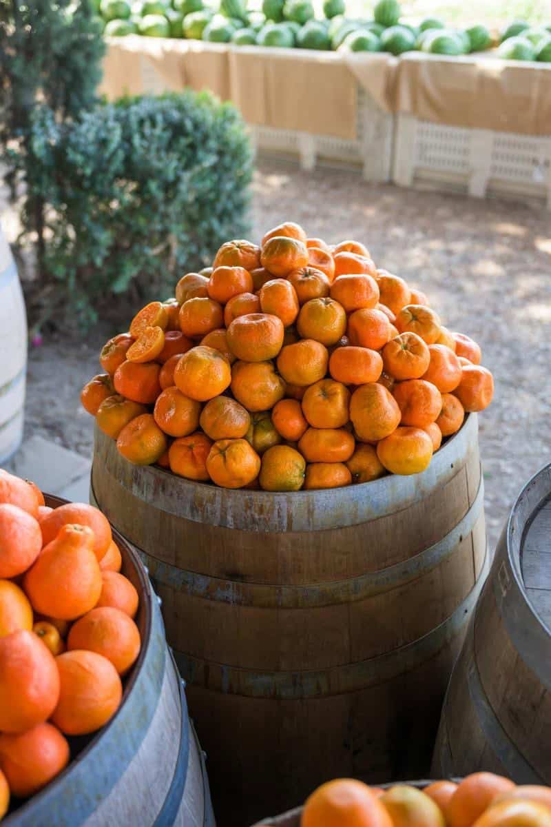 barrel of oranges