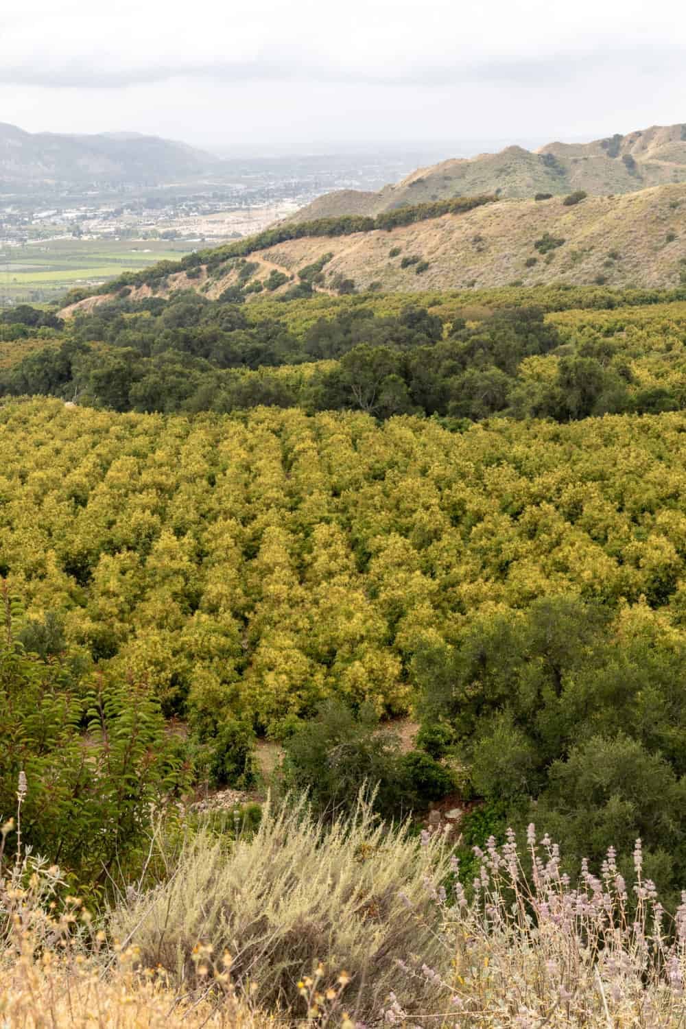 View from the top of the hill at Kimball Ranch