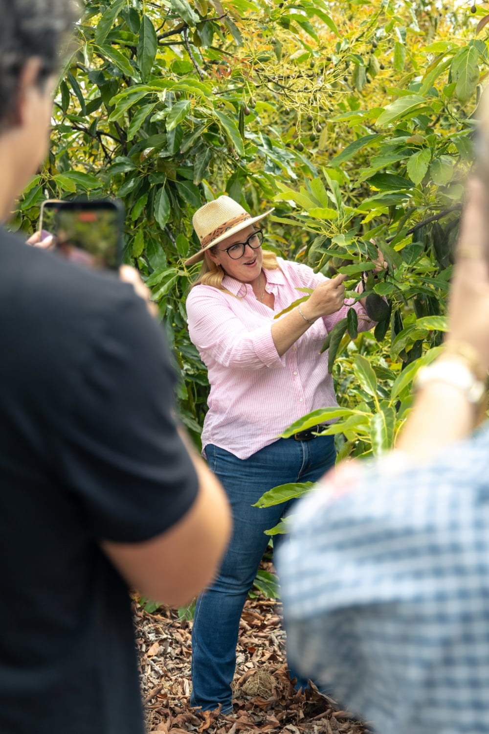 Rachael on her family's avocado farm