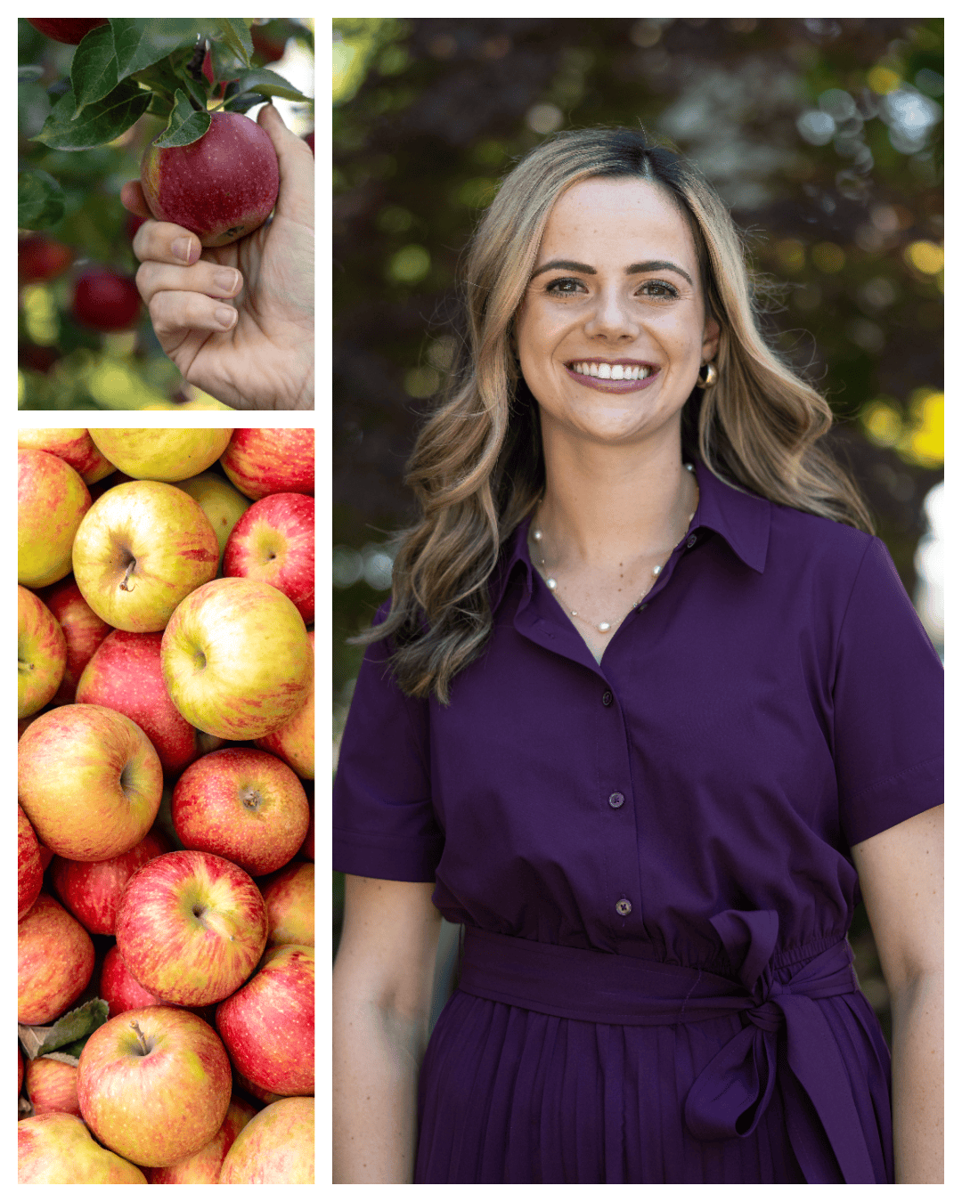 California Apple Commission: Supporting California’s Apple Industry 
