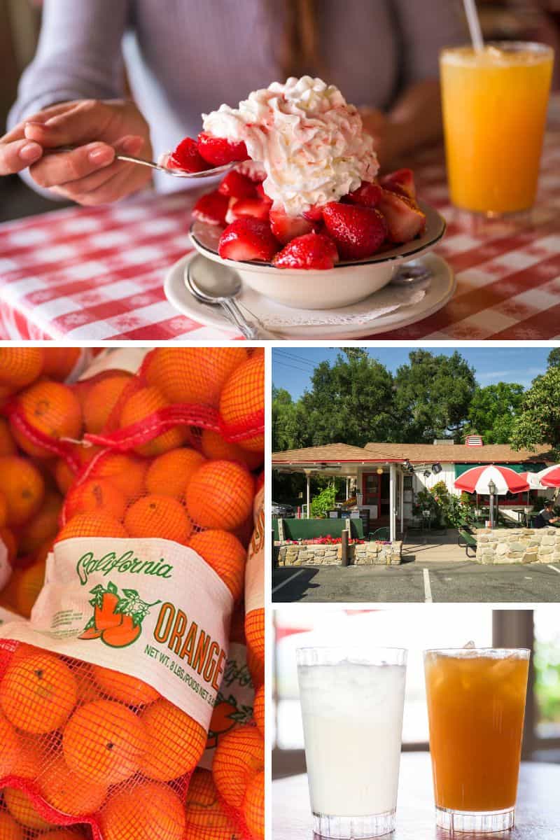 Collage of images from our visit to Boccali’s Pizza & Pasta