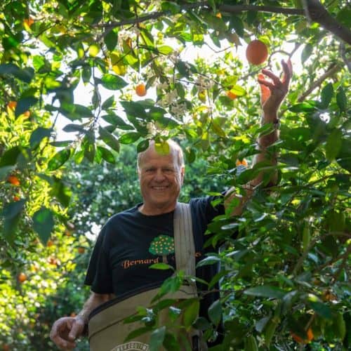 Why Bernard Ranch Citrus Stands Out at SoCal Farmers Markets