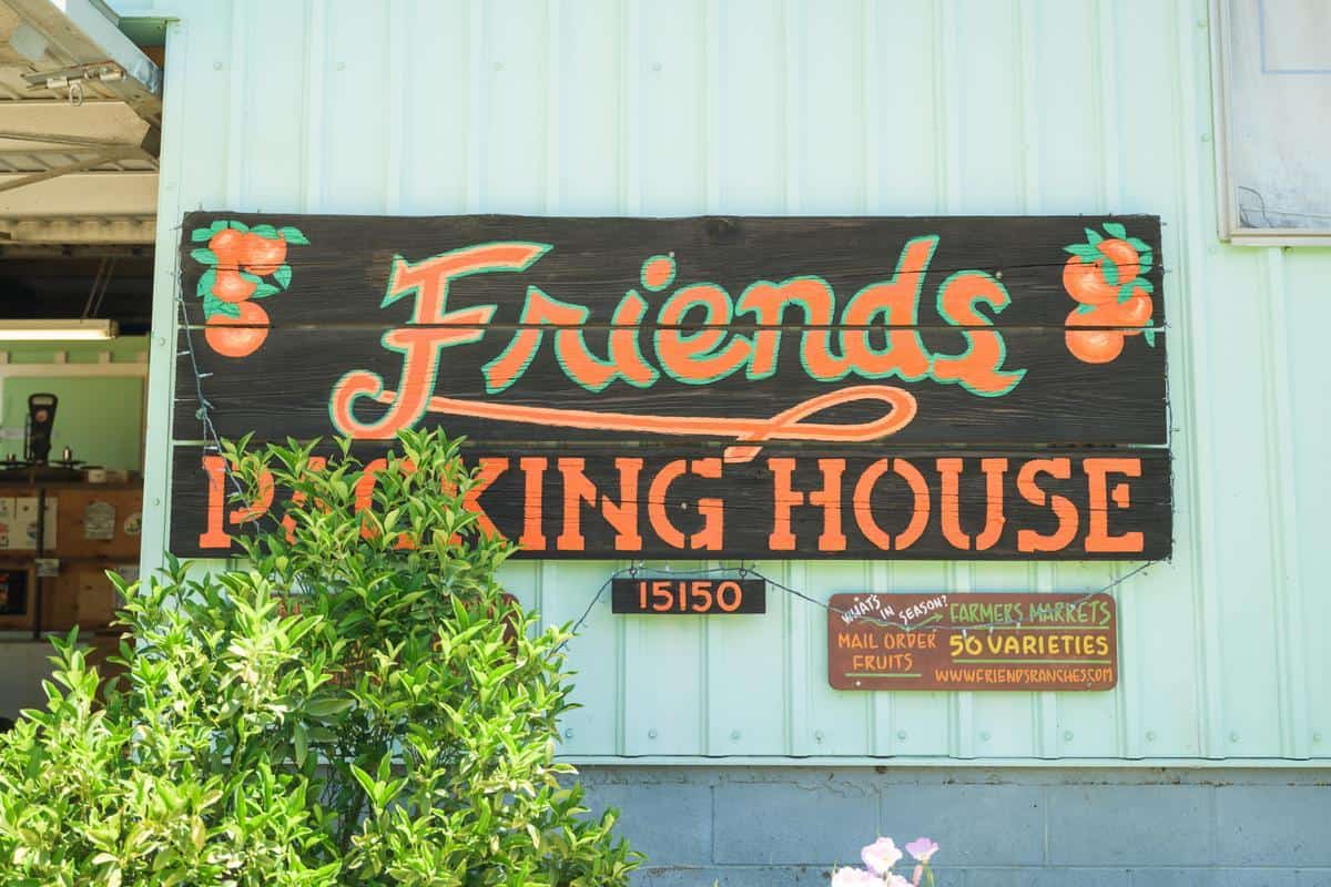A Season Worth Waiting For at Friends Ranches: Emily Ayala and the Citrus Soul of Ojai