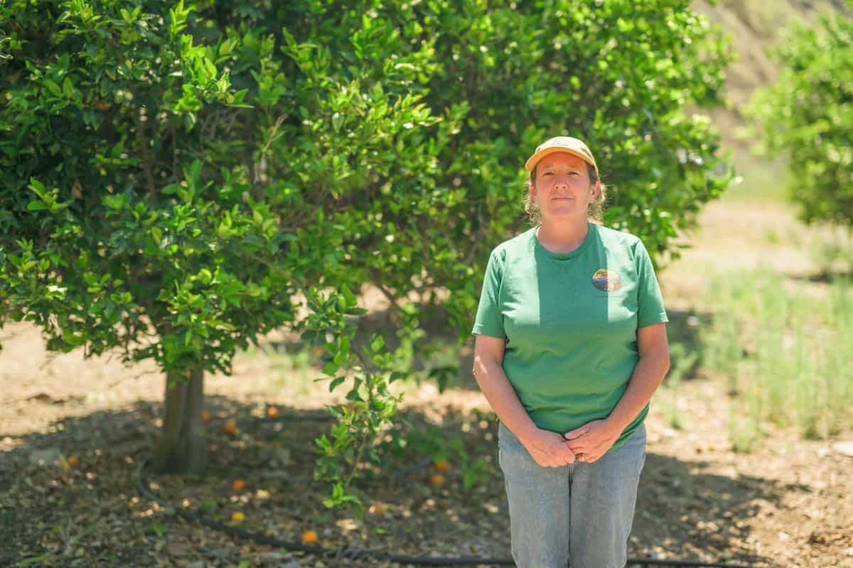 portrait of a woman in a citrus field