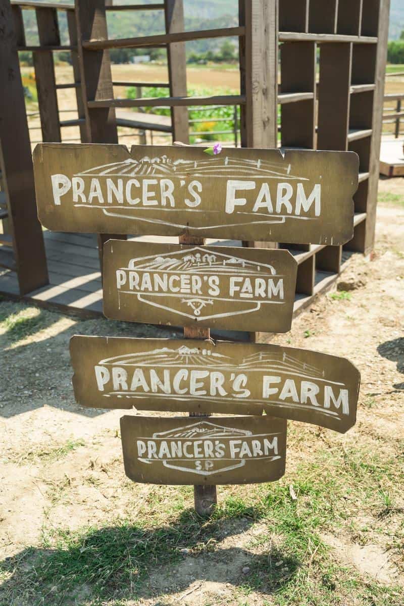 wooden farm sign for prancers farm
