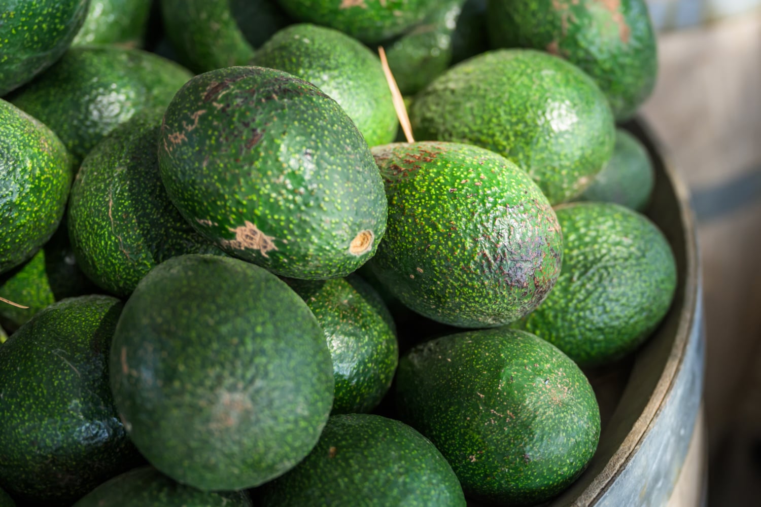California Grown Avocados for sale