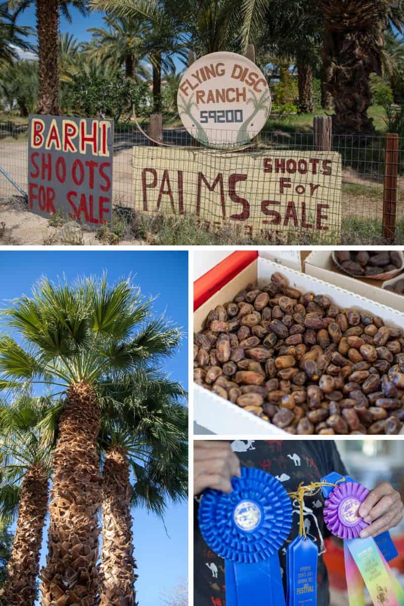Flying Disc Ranch: Permaculture Dates in Coachella