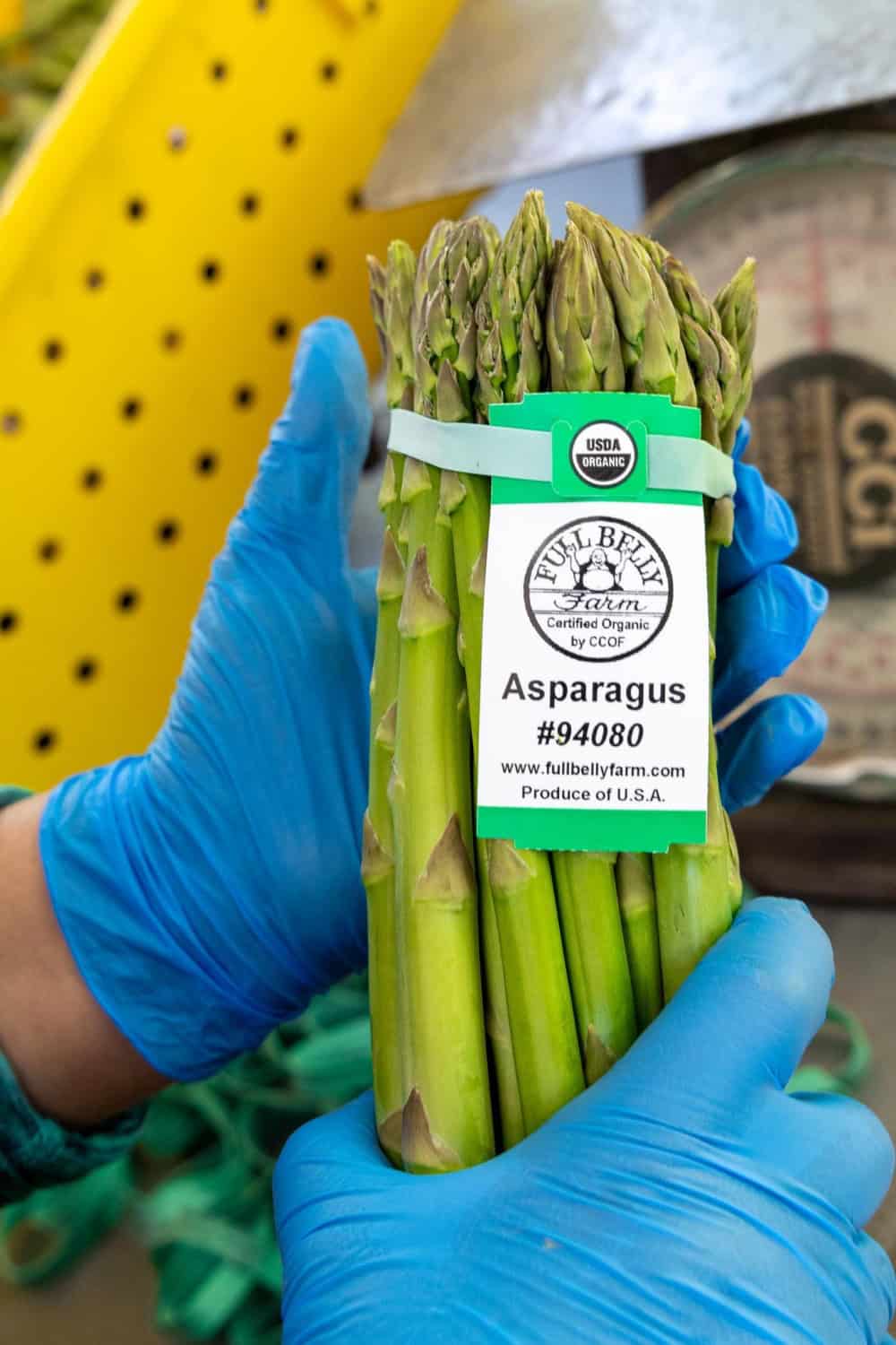 asparagus packaged at Full Belly Farms