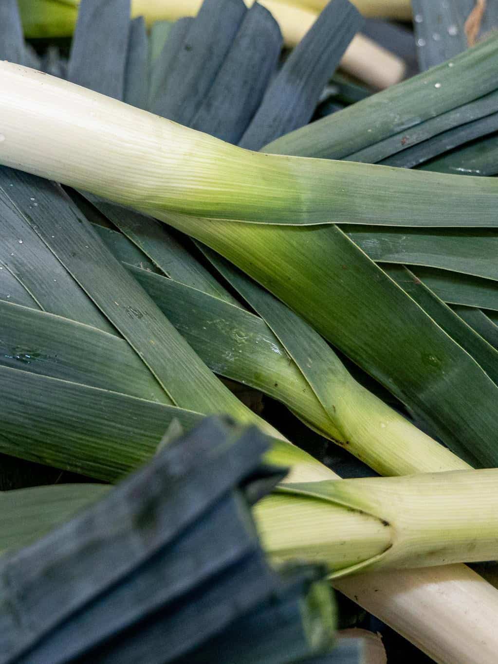 Leeks from Full Belly Farms