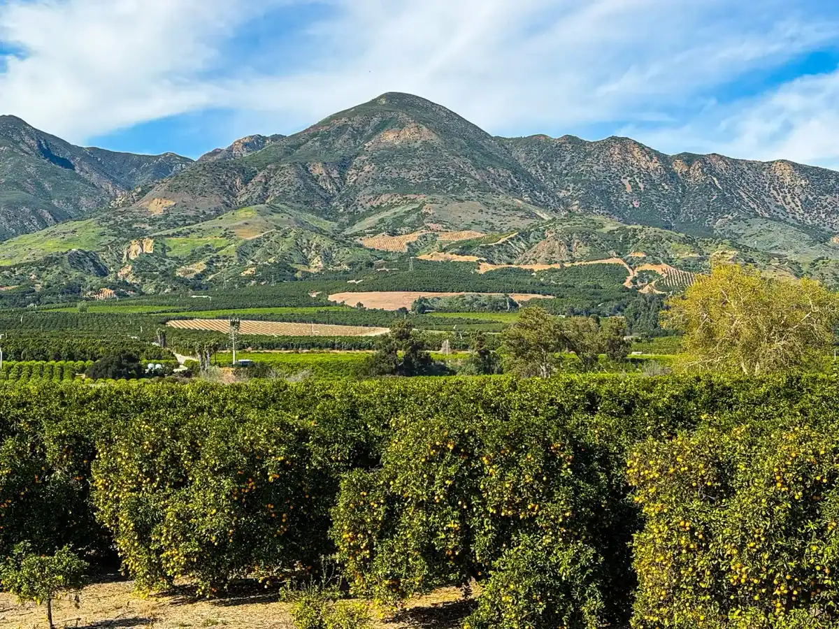 heritage valley