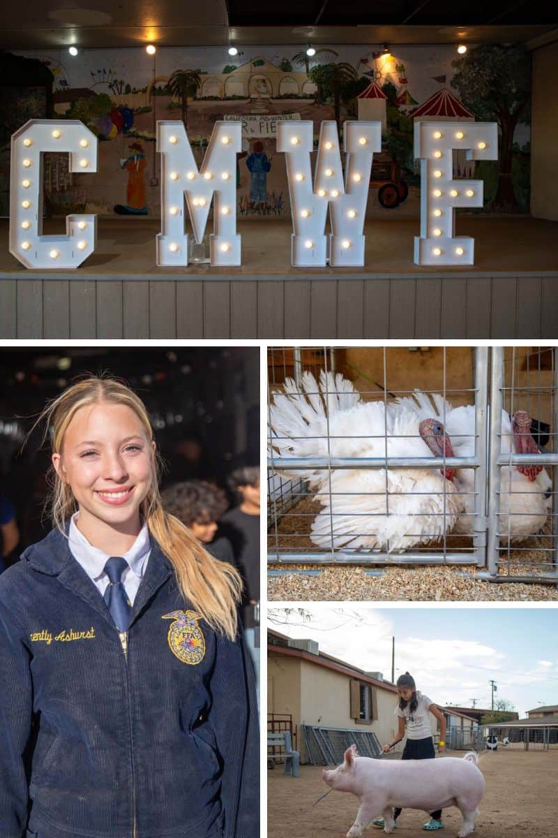 California Midwinter Fair Celebrates Imperial Valley Agriculture