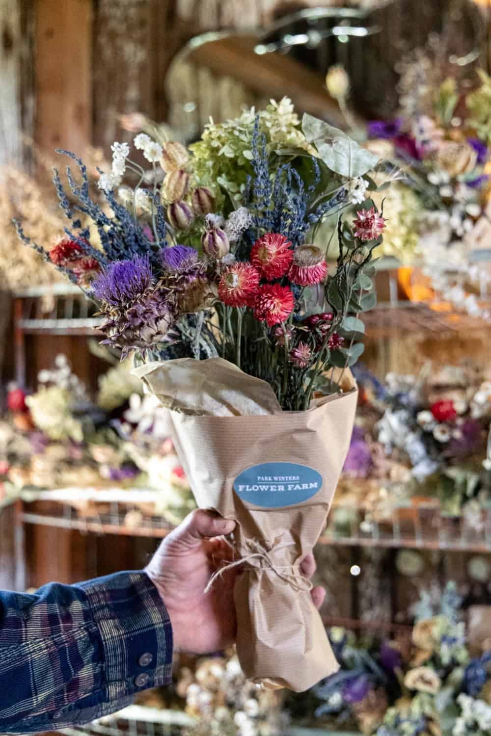 dried flowers from Park Winters flower farm