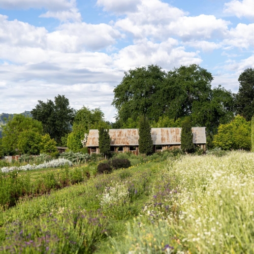 Park Winters: California’s Dreamiest U-Pick Flower Farm
