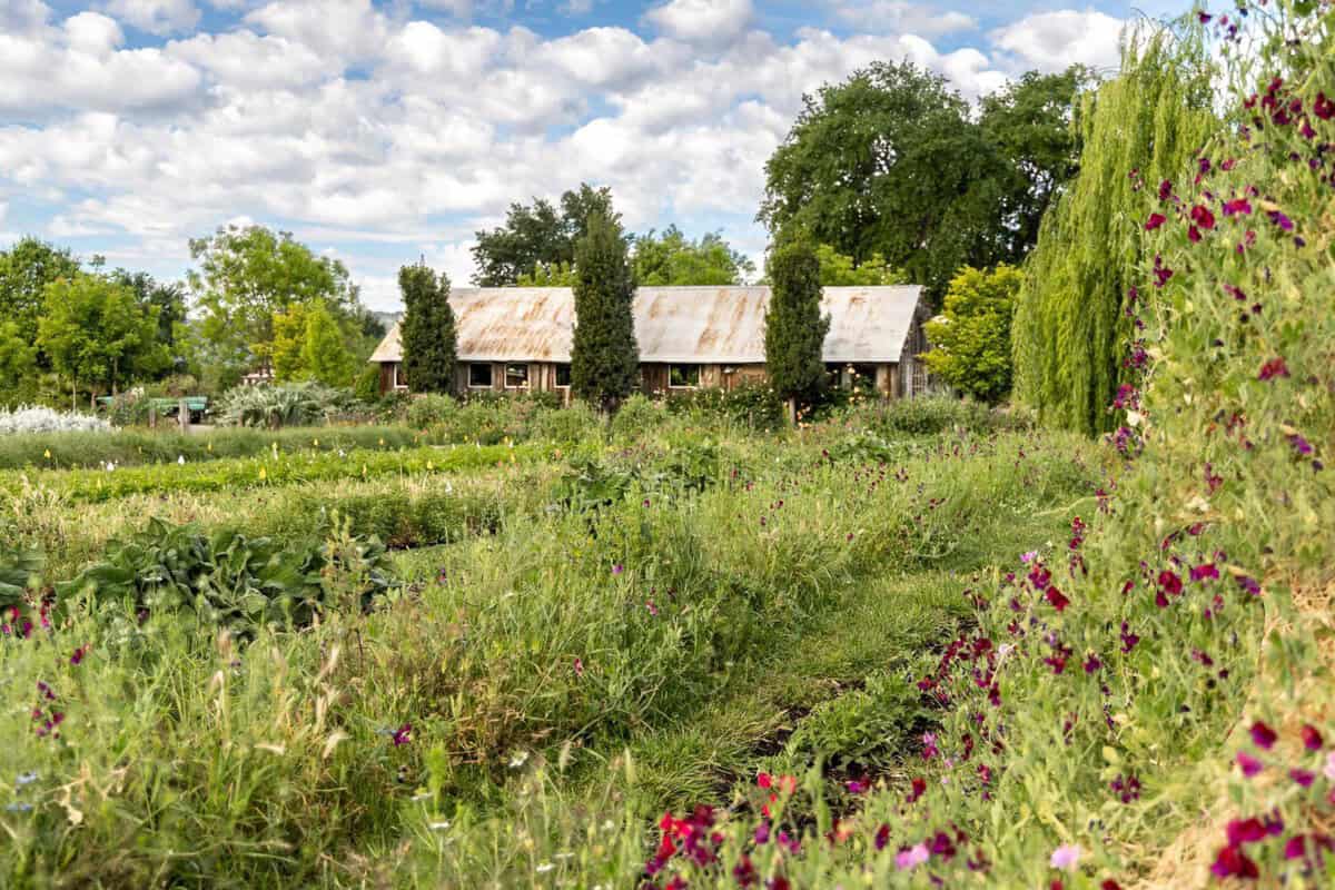 park winters flower farm