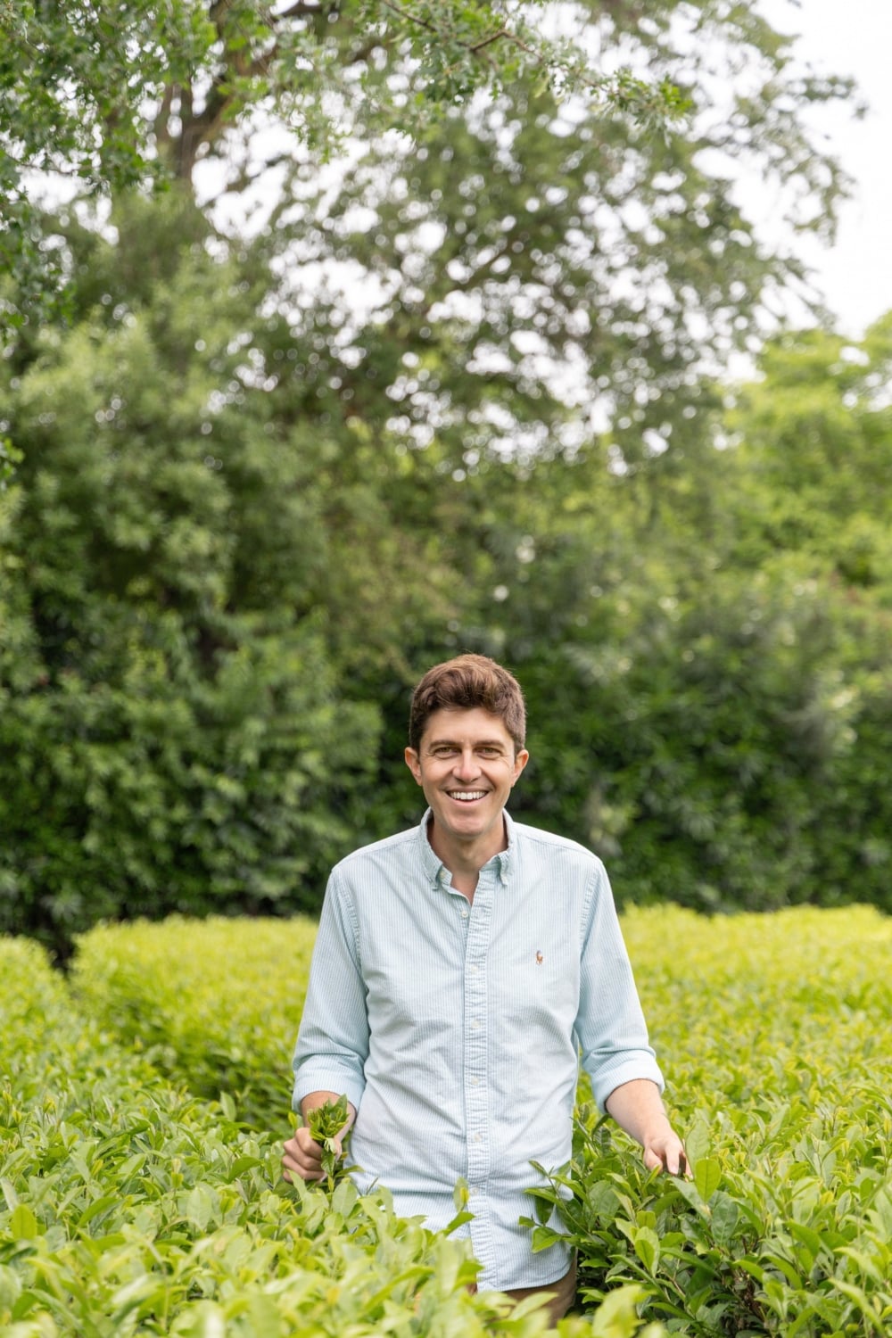 Redwood Tea Estate owner Patrick Sunbury