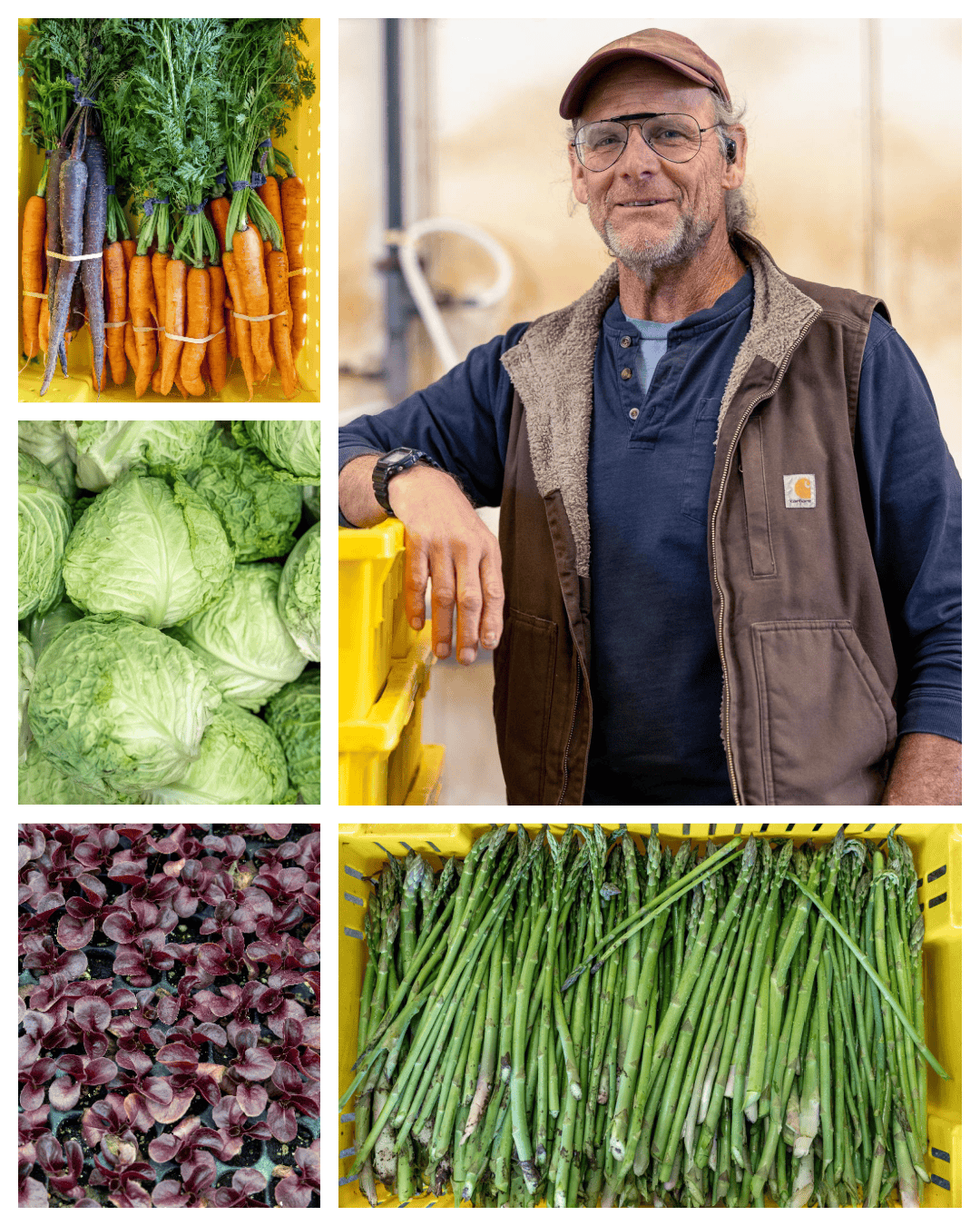 Riverdog Farm: More Than Just Great Produce 