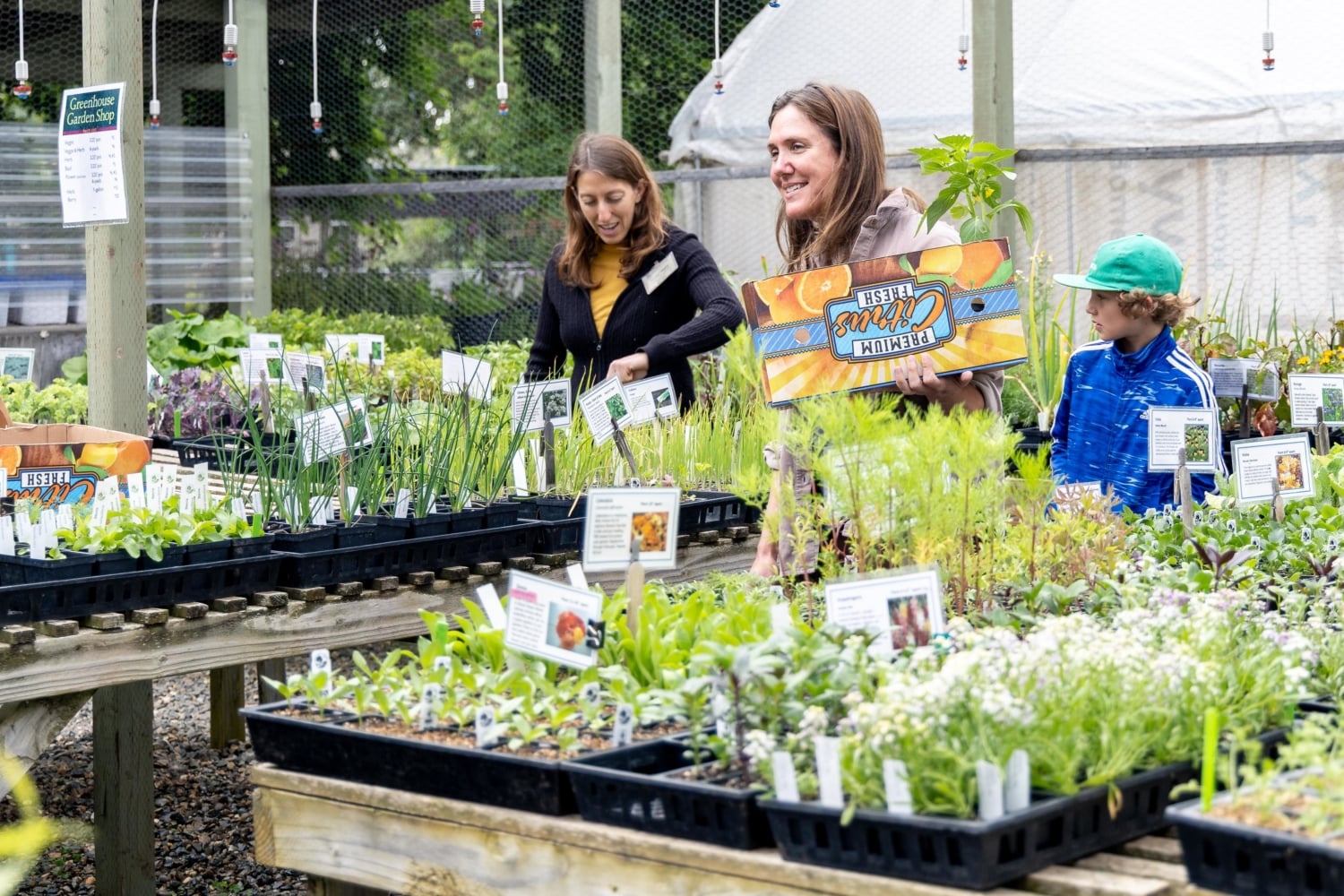 Shopping for plants at the greenhouse at Soil Born Farms
