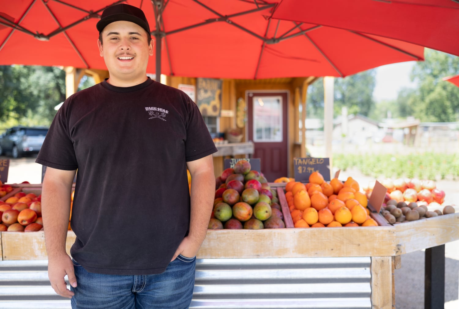 Matthew stromby at Sunflower Farm Stand