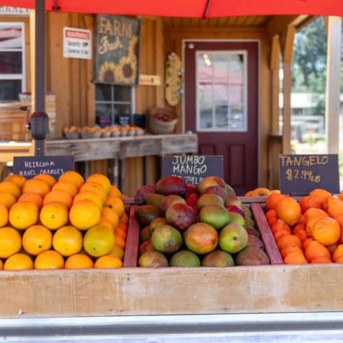 Sunflower Farm Stand: California Grown Produce & U-Pick Flowers