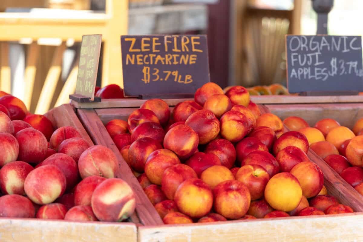 zeefire nectarines at sunflower farm stand