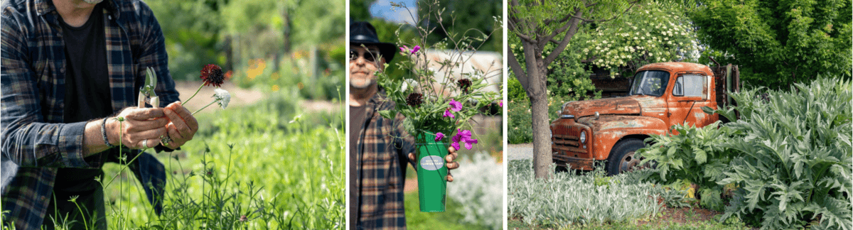 the flower farm at Park Winters