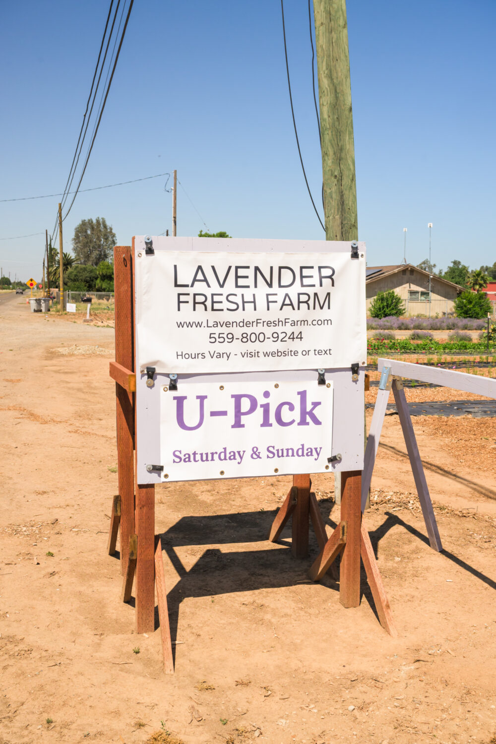signage for Lavender Fresh Farm, a u-pick farm in Fresno County