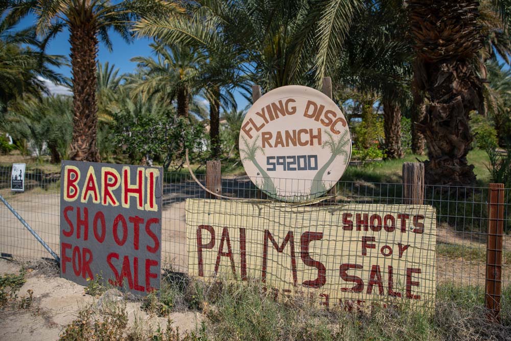 Thermal Disc Ranch signage.
