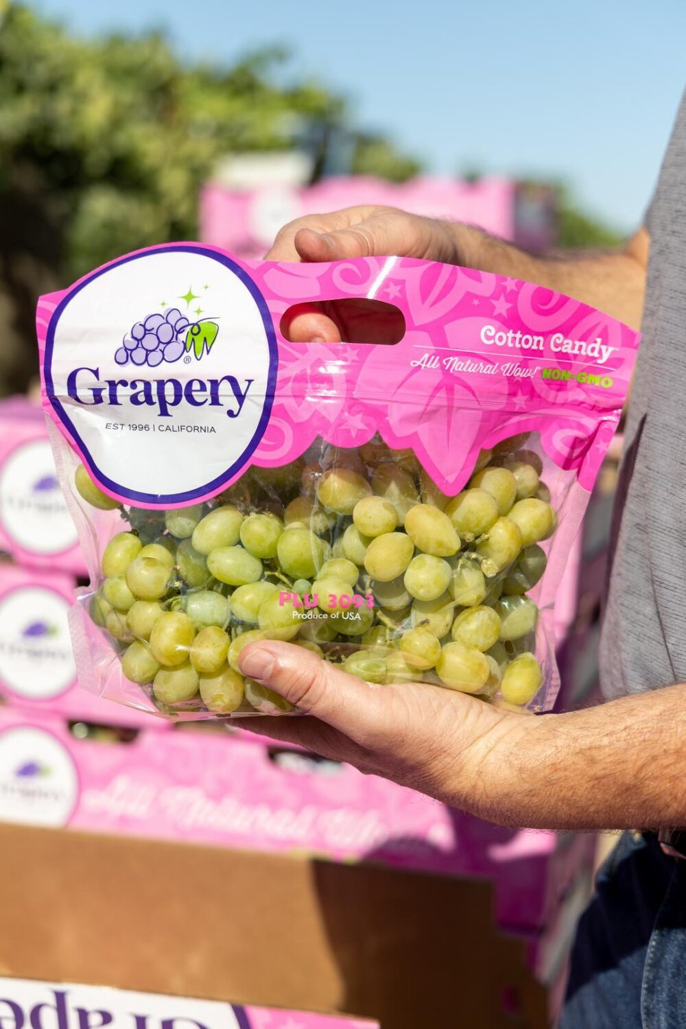 Package of Cotton Candy Grapes