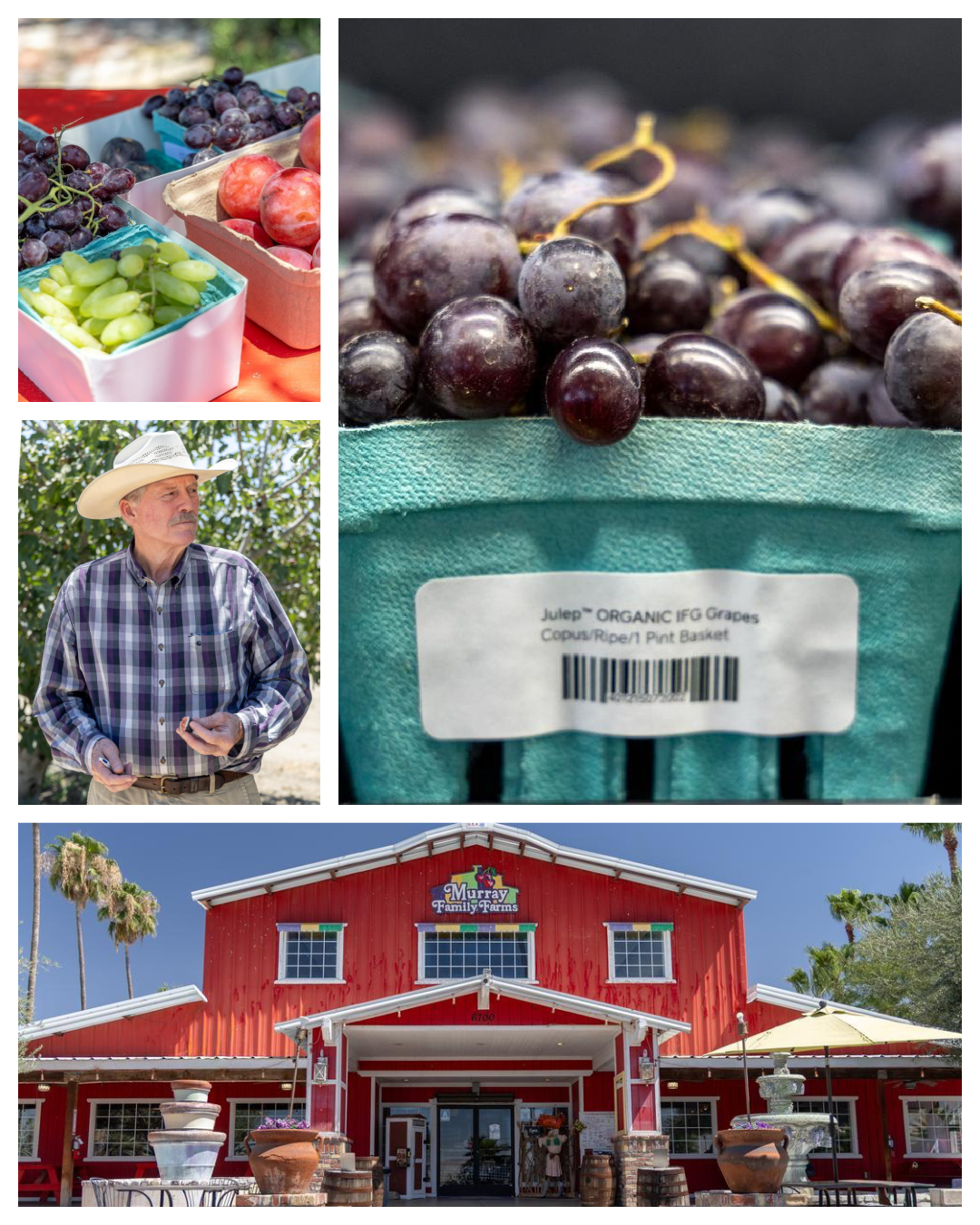Murray Family Farms: More Than Just a Big Red Barn
