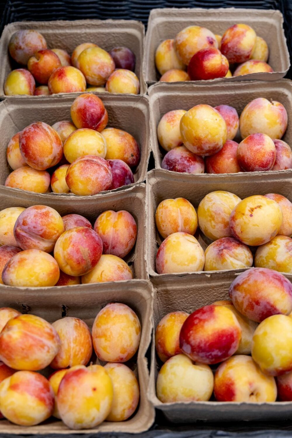 Stone fruit from Murray Family Farms
