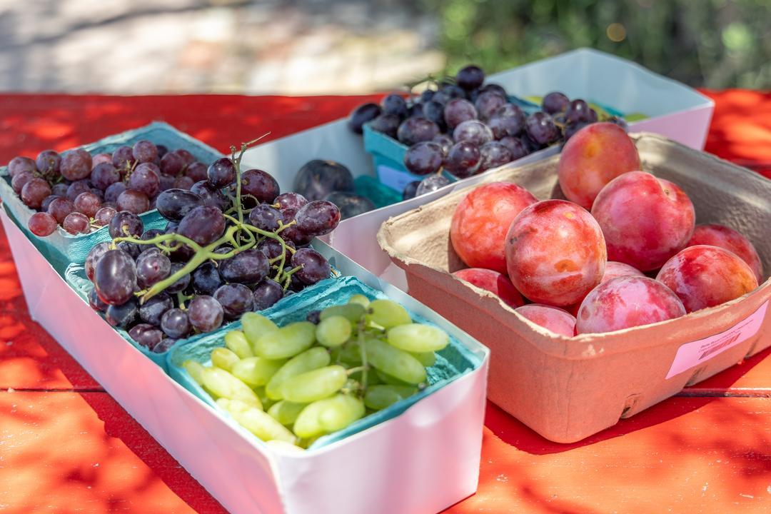 Some of the produce grown at Murray Family Farms