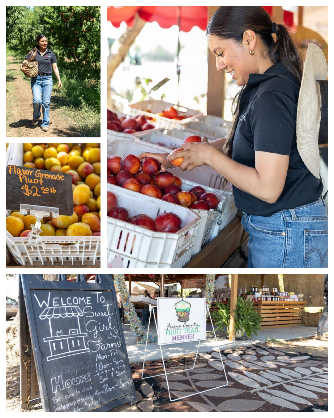 Sweet Girl Farms: Redefining the Modern Farm Stand